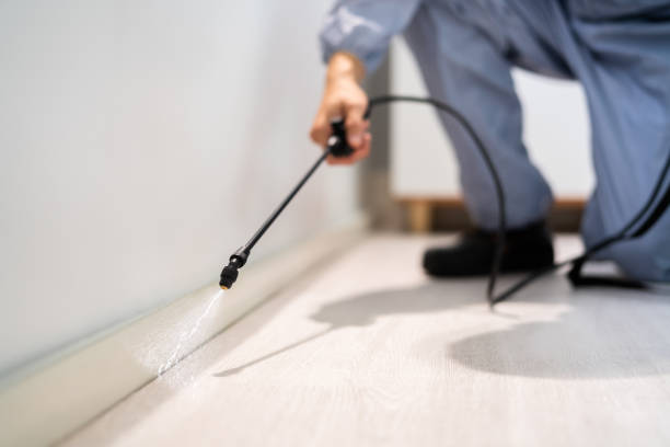 Licensed Mosquito Control service in Ingram, TX - Nex Pest Control
