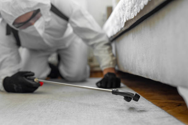 Professional Mosquito Control technician working in Ingram, TX