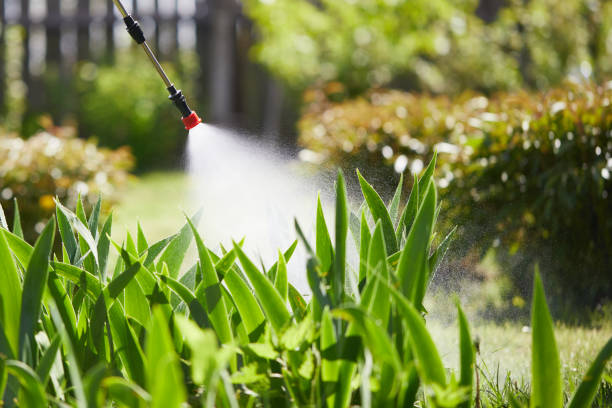 24/7 Emergency Mosquito Control experts in Ingram, TX