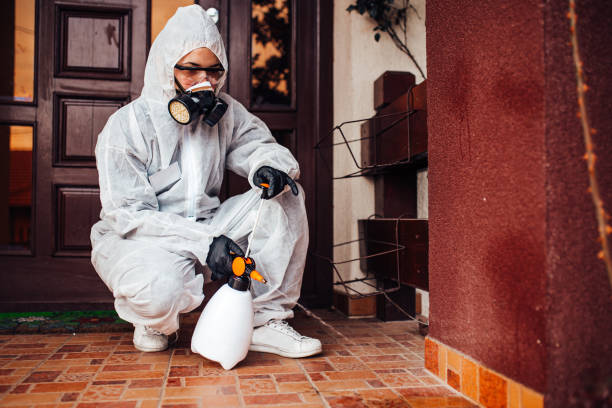 Reliable Mosquito Control contractor in Ingram, TX by Nex Pest Control