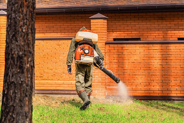 Top rated local Mosquito Control specialists in Ingram, TX